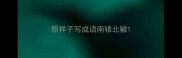 照样子写成语南辕北辙