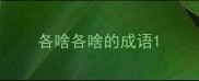 各啥各啥的成语
