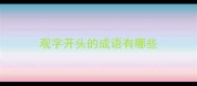 观字开头的成语有哪些