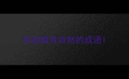 形容顺其自然的成语