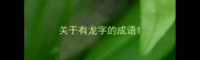 关于有龙字的成语