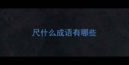 尺什么成语有哪些