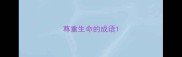 尊重生命的成语