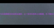 10个与垃圾桶相关的成语及趣味从一地鸡毛到弃之如敝履你了解多少