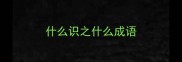 什么识之什么成语