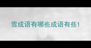 雪成语有哪些成语有些