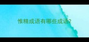 惟精成语有哪些成语