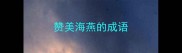 赞美海燕的成语