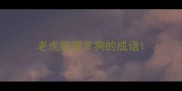 老虎狐狸羊狗的成语