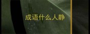 成语什么人静