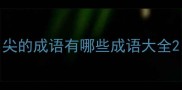 尖的成语有哪些成语大全