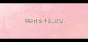 眼高什么什么成语