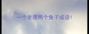 一个老鹰两个兔子成语