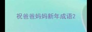 祝爸爸妈妈新年成语