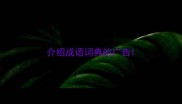 介绍成语词典的广告