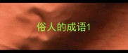 俗人的成语