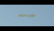 好花什么成语