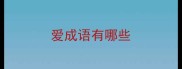 爱成语有哪些