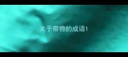 关于带物的成语