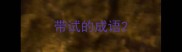 带试的成语