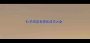 比的成语有哪些成语大全