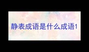 静表成语是什么成语