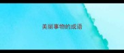 美丽事物的成语