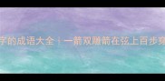 箭在弦上100个带箭字的成语大全一箭双雕箭在弦上百步穿杨速存语文考点