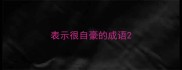 表示很自豪的成语
