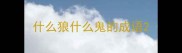 什么狼什么鬼的成语