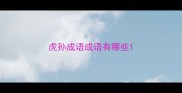 虎孙成语成语有哪些