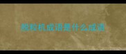 脱粒机成语是什么成语