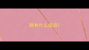 柳有什么成语