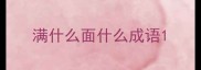 满什么面什么成语