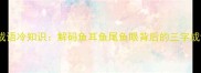 鱼耳成语冷知识解码鱼耳鱼尾鱼眼背后的三字成语全