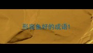 形容鱼好的成语