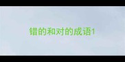 错的和对的成语