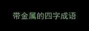 带金属的四字成语