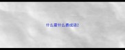 什么霍什么费成语
