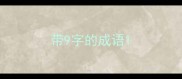 带9字的成语