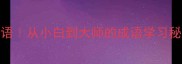 深度100个深邃成语从小白到大师的成语学习秘籍附电子书