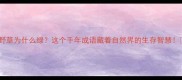 野草为什么绿这个千年成语藏着自然界的生存智慧
