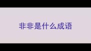非非是什么成语