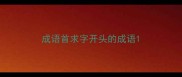 成语首求字开头的成语