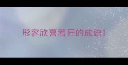 形容欣喜若狂的成语
