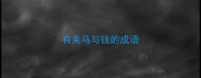 有关马与钱的成语