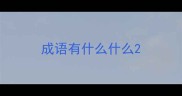 成语有什么什么