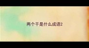 两个干是什么成语
