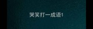 哭笑打一成语