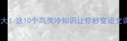 与禽成语大这10个鸟类冷知识让你秒变语文课代表